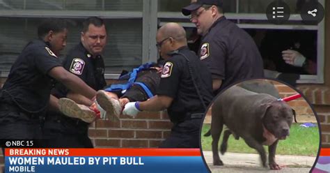 pit bull kills owner today